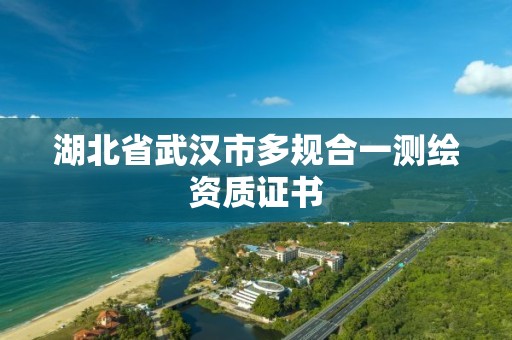 湖北省武漢市多規合一測繪資質證書