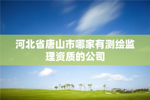 河北省唐山市哪家有測繪監(jiān)理資質的公司