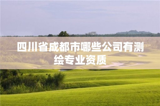 四川省成都市哪些公司有測繪專業(yè)資質