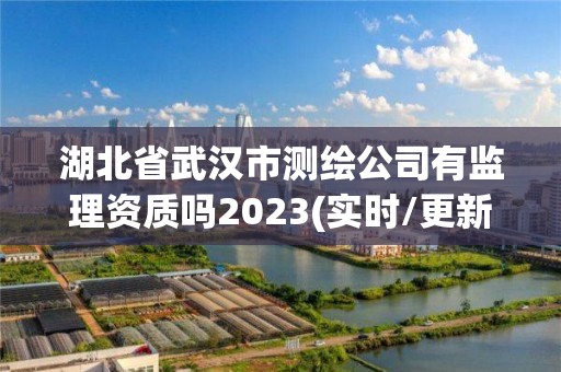 湖北省武漢市測繪公司有監(jiān)理資質(zhì)嗎2023(實時/更新中)