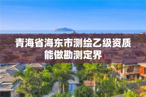 青海省海東市測(cè)繪乙級(jí)資質(zhì)能做勘測(cè)定界