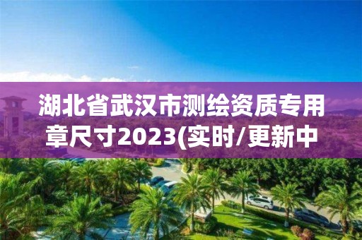 湖北省武漢市測繪資質專用章尺寸2023(實時/更新中)