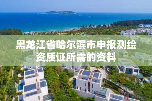 黑龍江省哈爾濱市申報測繪資質證所需的資料