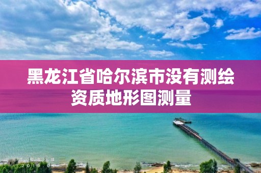 黑龍江省哈爾濱市沒有測繪資質(zhì)地形圖測量