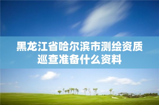 黑龍江省哈爾濱市測(cè)繪資質(zhì)巡查準(zhǔn)備什么資料