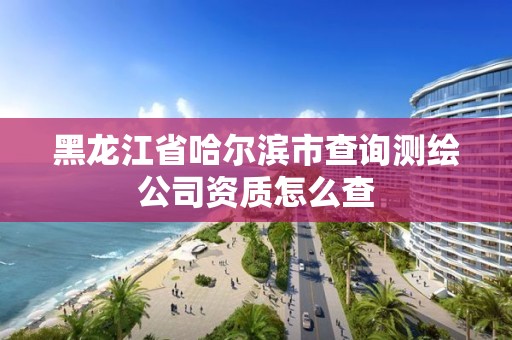 黑龍江省哈爾濱市查詢測繪公司資質(zhì)怎么查