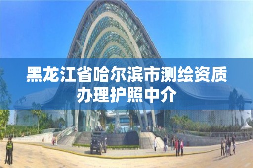 黑龍江省哈爾濱市測繪資質辦理護照中介