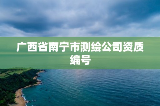 廣西省南寧市測繪公司資質編號