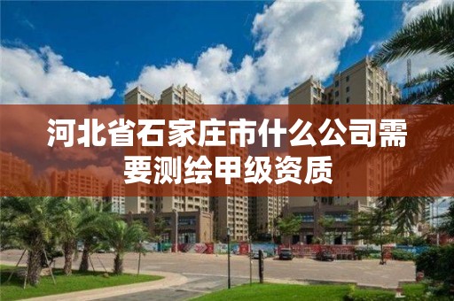 河北省石家莊市什么公司需要測繪甲級資質