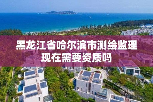 黑龍江省哈爾濱市測繪監理現在需要資質嗎