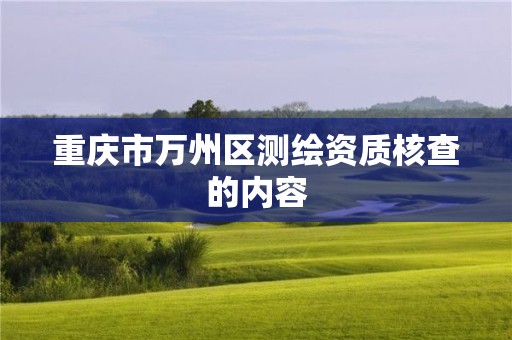 重慶市萬(wàn)州區(qū)測(cè)繪資質(zhì)核查的內(nèi)容