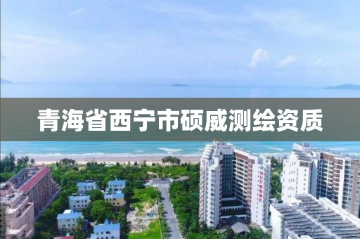 青海省西寧市碩威測繪資質