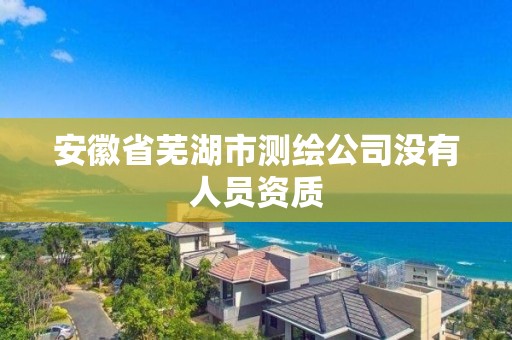 安徽省蕪湖市測繪公司沒有人員資質