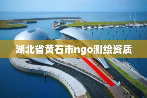 湖北省黃石市ngo測繪資質