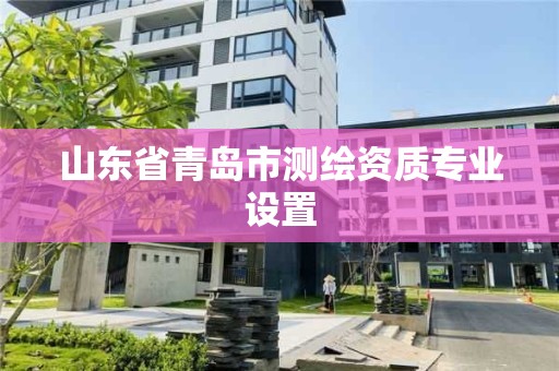 山東省青島市測繪資質專業設置