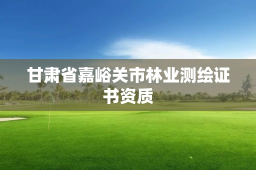 甘肅省嘉峪關市林業測繪證書資質