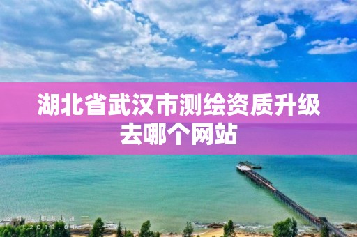 湖北省武漢市測繪資質升級去哪個網站