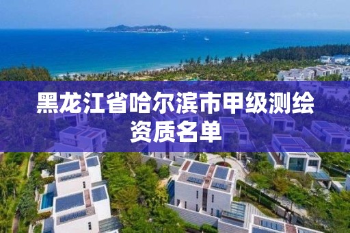 黑龍江省哈爾濱市甲級測繪資質名單