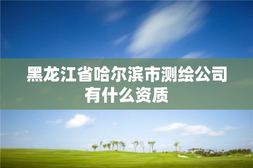 黑龍江省哈爾濱市測繪公司有什么資質