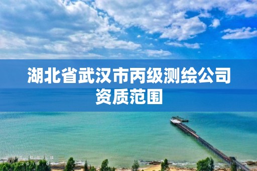 湖北省武漢市丙級測繪公司資質范圍