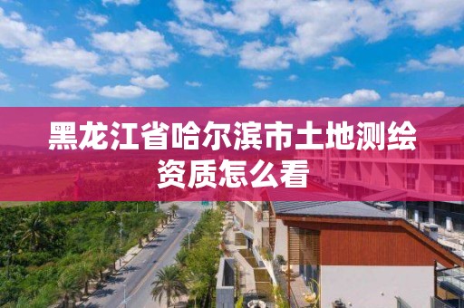 黑龍江省哈爾濱市土地測繪資質怎么看