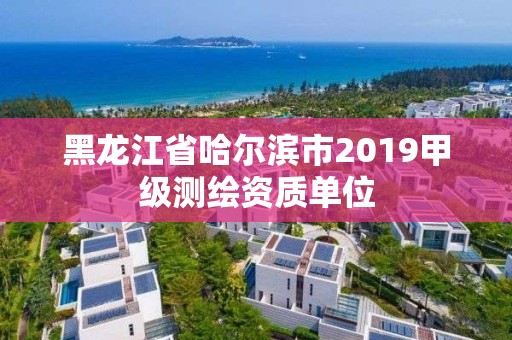 黑龍江省哈爾濱市2019甲級測繪資質單位