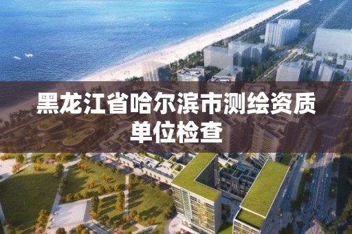 黑龍江省哈爾濱市測繪資質單位檢查