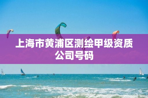 上海市黃浦區測繪甲級資質公司號碼