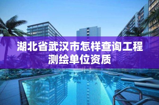 湖北省武漢市怎樣查詢工程測繪單位資質(zhì)