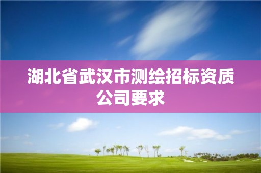 湖北省武漢市測(cè)繪招標(biāo)資質(zhì)公司要求