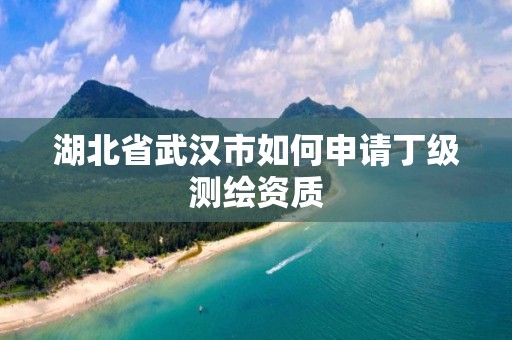 湖北省武漢市如何申請(qǐng)丁級(jí)測(cè)繪資質(zhì)