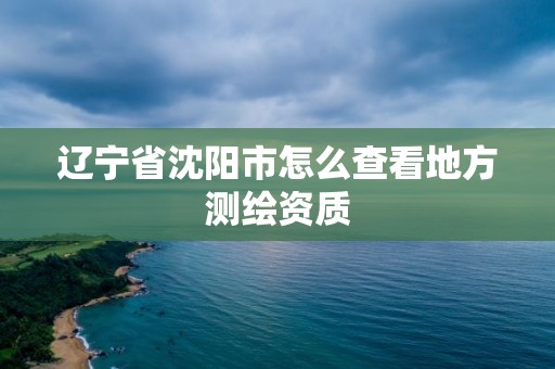 遼寧省沈陽市怎么查看地方測繪資質