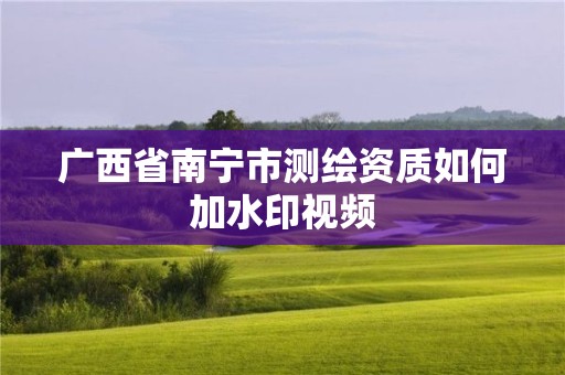 廣西省南寧市測繪資質如何加水印視頻