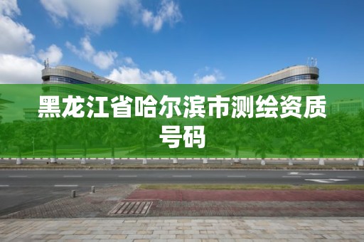 黑龍江省哈爾濱市測繪資質號碼