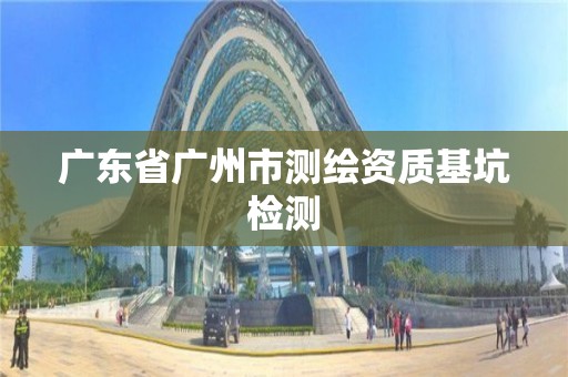 廣東省廣州市測繪資質基坑檢測