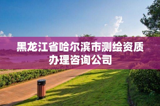 黑龍江省哈爾濱市測繪資質辦理咨詢公司