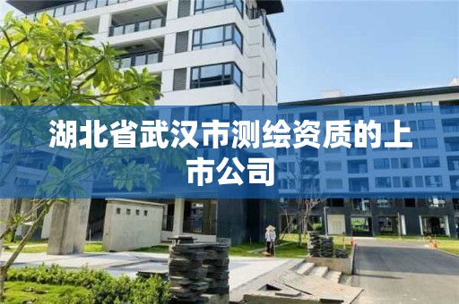 湖北省武漢市測繪資質(zhì)的上市公司