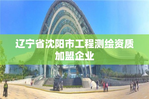 遼寧省沈陽市工程測繪資質加盟企業