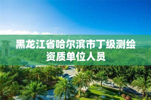 黑龍江省哈爾濱市丁級測繪資質單位人員