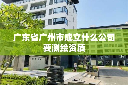 廣東省廣州市成立什么公司要測繪資質