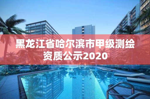 黑龍江省哈爾濱市甲級(jí)測(cè)繪資質(zhì)公示2020