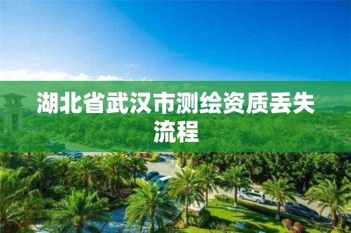 湖北省武漢市測繪資質丟失流程