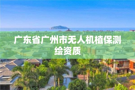 廣東省廣州市無人機(jī)植保測繪資質(zhì)