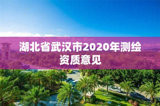 湖北省武漢市2020年測繪資質(zhì)意見