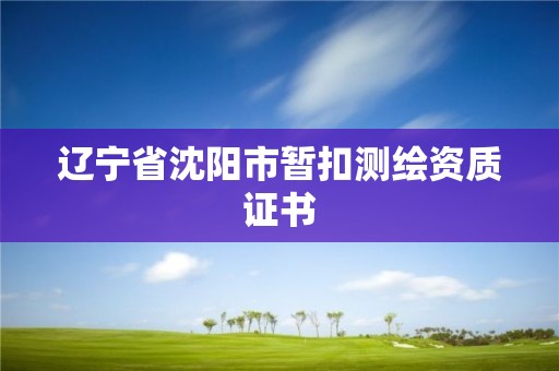 遼寧省沈陽市暫扣測繪資質證書