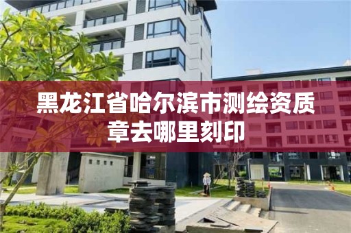 黑龍江省哈爾濱市測繪資質(zhì)章去哪里刻印