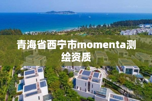 青海省西寧市momenta測繪資質