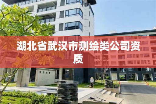 湖北省武漢市測繪類公司資質