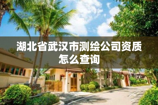 湖北省武漢市測繪公司資質(zhì)怎么查詢