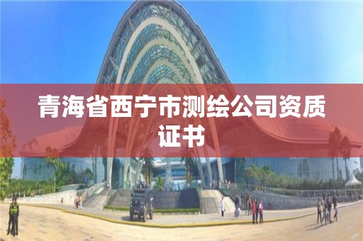 青海省西寧市測繪公司資質證書